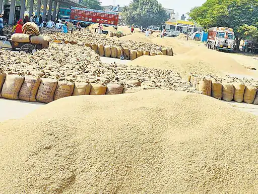 अवकाश पर गए मंडी प्रभारी और कम्प्यूटर ऑपरेटर्स 64 अवकाश पर गए मंडी प्रभारी और कम्प्यूटर ऑपरेटर्स October 6, 2026
