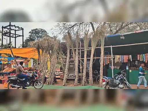 आज शाम से एकादशी, कल जागेंगे देव ,तुलसी विवाह के साथ ही खत्म होगा चातुर्मास, शुरू होंगे मांगलिक काम.. 61 आज शाम से एकादशी, कल जागेंगे देव ,तुलसी विवाह के साथ ही खत्म होगा चातुर्मास, शुरू होंगे मांगलिक काम.. October 6, 2026