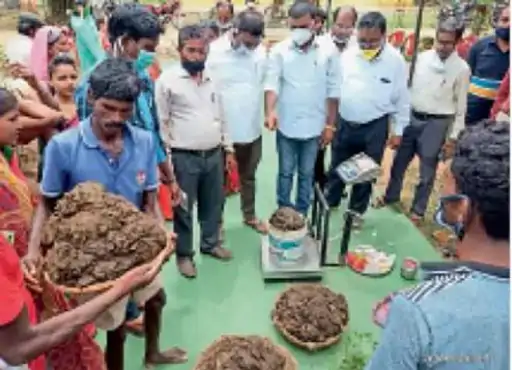 छत्तीसगढ़ में गोबर से पेंट बनाने की 37 यूनिट लगेंगी... October 6, 2026