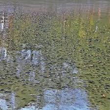 ग्वालियर में 24 घंटे में हार्ट-अटैक से 5 की मौत,प्रदेश में अभी दो-तीन दिन और पड़ेगी कड़ाके की ठंड.. October 6, 2026