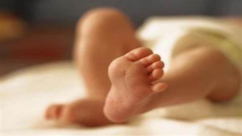 नारनौल में 1 दिन की बच्ची की लाश मिली,रेलवे स्टेशन में पटरियों के नजदीक झाड़ियों में फेंकी.. October 6, 2026