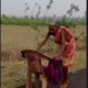 पेंशन के लिए कड़ी धूप में कई किलोमीटर चलीं बुजुर्ग,टूटी कुर्सी का सहारा लिया.. October 6, 2026