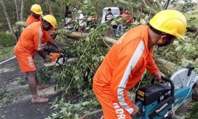 अकोला में बारिश से बड़ा हादसा,मंदिर की शेड पर पेड़ गिरने से 7 की मौत, 30 लोग घायल.. October 6, 2026