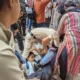 रेसलर्स के समर्थन में स्टूडेंट्स,DU में पुलिस ने छात्राओं को घसीटा, कपड़े फटे.. October 6, 2026