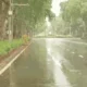 आज MP-राजस्थान समेत 23 राज्यों में भारी बारिश का अलर्ट.. October 6, 2026