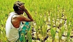 आधा मानसून बीत गया, बारिश को तरसे 9 प्रदेश,10 में जरूरत से ज्यादा पानी.. October 6, 2026