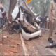 न्यू ईयर पार्टी मनाकर लौट रहे छह दोस्तों की एक साथ मौत 61 न्यू ईयर पार्टी मनाकर लौट रहे छह दोस्तों की एक साथ मौत October 7, 2026