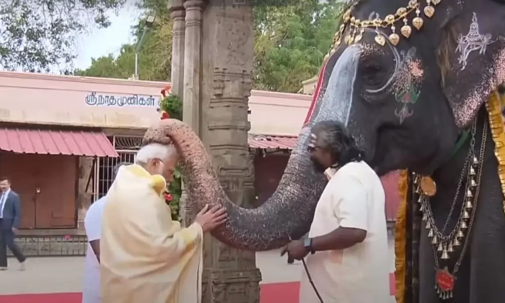 मोदी ने तमिलनाडु के रंगनाथस्वामी मंदिर में पूजा की,हाथी को गुड़ खिलाकर आशीर्वाद लिया.. October 7, 2026