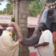 मोदी ने तमिलनाडु के रंगनाथस्वामी मंदिर में पूजा की,हाथी को गुड़ खिलाकर आशीर्वाद लिया.. October 7, 2026