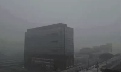 भोपाल में शिमला जैसा मौसम,12 बजे तक घना कोहरा,पहली बार सर्द हवाएं, कोहरा-बारिश एक साथ October 7, 2026