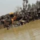 उत्तरप्रदेश के कासगंज में ट्रैक्टर-ट्रॉली तालाब में पलटी, 40 डूबे,अब तक 22 की मौत; माघी पूर्णिमा पर गंगा स्नान करने जा रहे थे.. October 7, 2026