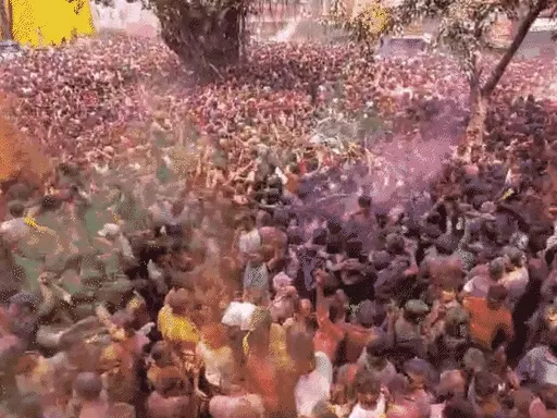 इंदौर में रंगपंचमी की धूम, देखें ड्रोन फागयात्रा के बाद संगम कॉर्नर की गेर पहुंची राजवाड़ा, एम्बुलेंस को दिया रास्ता... October 7, 2026