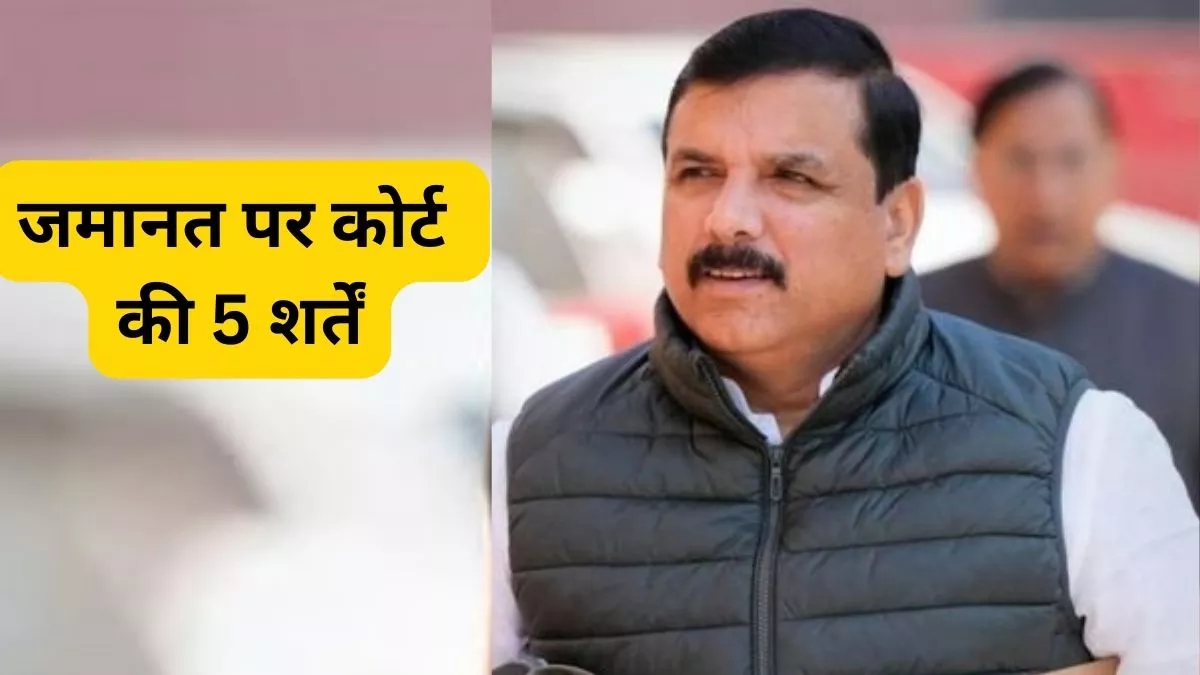दिल्ली-NCR छोड़कर नहीं जा सकेंगे AAP नेता संजय सिंह, मोबाइल लोकेशन चालू रखने सहित इन 5 शर्तों पर मिली जमानत.. October 30, 2026