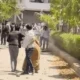 जयपुर में बदमाशों ने परिवार पर बरसाए पत्थर,खाली प्लॉट पर कब्जा करने आए थे, 2 आरोपियों को पुलिस ने पकड़ा.. 82 जयपुर में बदमाशों ने परिवार पर बरसाए पत्थर,खाली प्लॉट पर कब्जा करने आए थे, 2 आरोपियों को पुलिस ने पकड़ा.. October 7, 2026