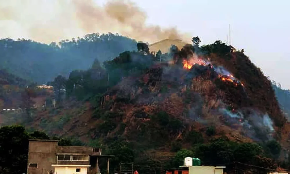  बढ़ती गर्मी के साथ जंगल धधकने का सिलसिला जारी, पहाड़ों में 31 स्थानों पर भड़की आग October 7, 2026