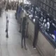 बेंगलुरु का रामेश्वरम कैफे ब्लास्ट- 2 आरोपी कोलकाता से गिरफ्तार,शाजिब ने IED रखी थी, ताहा ने बनाया था प्लान,दोनों ISIS मॉड्यूल का हिस्सा.. 82 बेंगलुरु का रामेश्वरम कैफे ब्लास्ट- 2 आरोपी कोलकाता से गिरफ्तार,शाजिब ने IED रखी थी, ताहा ने बनाया था प्लान,दोनों ISIS मॉड्यूल का हिस्सा.. October 7, 2026