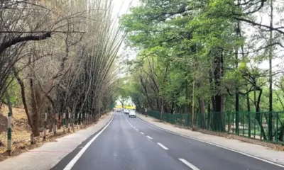 भोपाल में सुबह से बारिश, दिनभर ऐसा ही रहेगा मौसम:चार इमली, न्यू मार्केट इलाके में बारिश,अगले 3 दिन बादल रहेंगे October 7, 2026