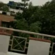 रामघाट के पास अजगर मिलने से श्रद्धालु सहमे,दो घंटे तक वन विभाग की टीम नहीं पहुंची, युवक ने रेस्क्यू कर अजगर को जंगल में छोड़ा 51 रामघाट के पास अजगर मिलने से श्रद्धालु सहमे,दो घंटे तक वन विभाग की टीम नहीं पहुंची, युवक ने रेस्क्यू कर अजगर को जंगल में छोड़ा October 18, 2026