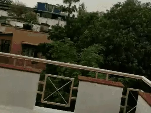 भोपाल में 29 हजार पेड़ों को बचाने आज प्रदर्शन,5 नंबर स्टॉप पर धरना; शिवाजी नगर-तुलसीनगर में प्रस्तावित है मंत्रियों के बंगले October 20, 2026