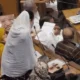 निगमकर्मी मृत, फिर भी सैलरी निकली, अब जांच,भोपाल की कांग्रेस पार्षद ने उठाया मुद्दा; अध्यक्ष बोले-कमिश्नर को जांच सौंपी 45 निगमकर्मी मृत, फिर भी सैलरी निकली, अब जांच,भोपाल की कांग्रेस पार्षद ने उठाया मुद्दा; अध्यक्ष बोले-कमिश्नर को जांच सौंपी October 15, 2026