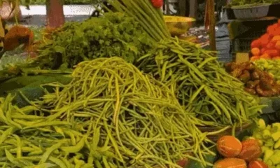इंदौर में एक हफ्ते में आधे हुए टमाटर के रेट,हरी सब्जियों की कीमतों में भी गिरावट, दोगुना हुए सुरजना फली के भाव October 18, 2026