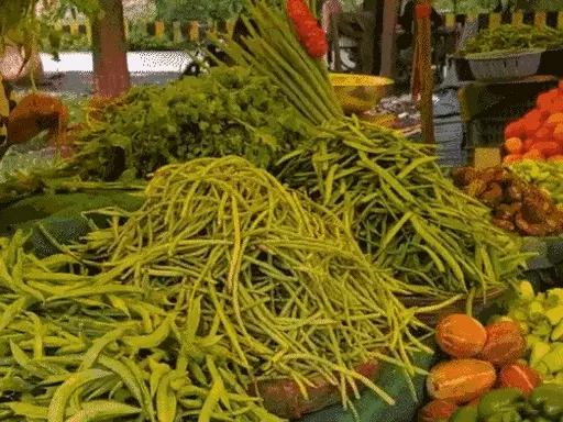 इंदौर में एक हफ्ते में आधे हुए टमाटर के रेट,हरी सब्जियों की कीमतों में भी गिरावट, दोगुना हुए सुरजना फली के भाव October 19, 2026