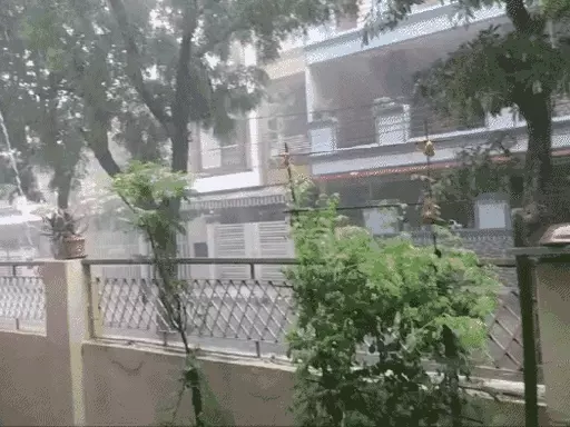 भोपाल में कहीं जलभराव तो इन नंबरों पर कॉल करें,कंट्रोल रूम से शहर की मानीटरिंग, महापौर भी पहुंची; जोन वाइज टीमें बनाई October 19, 2026