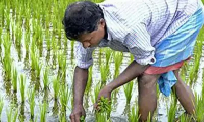 एमपी में राजस्व महाभियान आज से,रोज कलेक्टरों से रिपोर्ट लेगी सरकार, जिलों की परफार्मेंस रिपोर्ट भी होगी तैयार October 18, 2026