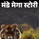 मंडे मेगा स्टोरी-बाघिन से मिलने 150 किलोमीटर दूर पहुंचा बाघ,मां-बाप को हराकर छीनते हैं टेरिटरी; वर्ल्ड टाइगर डे पर बाघों की रोमांचक दुनिया October 18, 2026