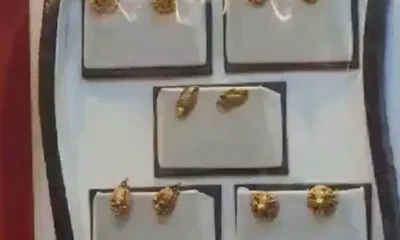 भोपाल में सोना ₹3950 तक सस्ता, चांदी ₹2 हजार,10 ग्राम सोना अब ₹71,500 में; टैक्स घटने से चांदी भी सस्ती हुई October 18, 2026