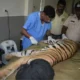 वन विहार में दूसरे बाघ शावक की भी मौत,2 दिन में दो शावकों ने दम तोड़ा; 16 दिन पहले मिडघाट बुधनी से रेस्क्यू किए थे October 18, 2026