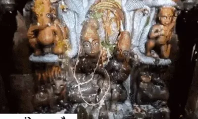ढाई लाख से ज्यादा भक्तों ने किए नागचंद्रेश्वर के दर्शन,बड़वानी में भीलटदेव का 101 लीटर दूध से अभिषेक; रायसेन में नागों की अदालत October 6, 2026