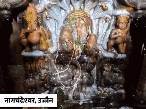 ढाई लाख से ज्यादा भक्तों ने किए नागचंद्रेश्वर के दर्शन,बड़वानी में भीलटदेव का 101 लीटर दूध से अभिषेक; रायसेन में नागों की अदालत October 19, 2026