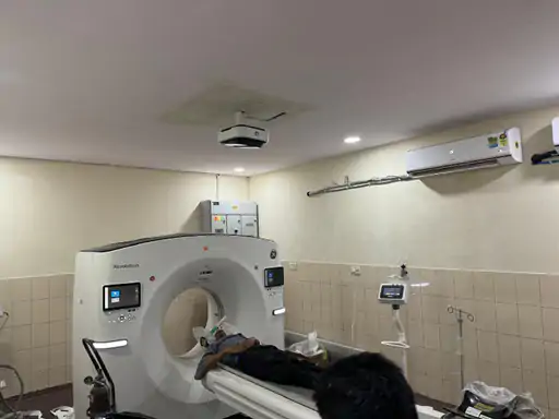 MBS हॉस्पिटल में एडवांस टेक्नोलॉजी की सिटी स्कैन सुविधा शुरू,AI इनेबल्ड कैमरा की मदद से पेशेंट की पोजीशन होगी एडजस्ट October 19, 2026