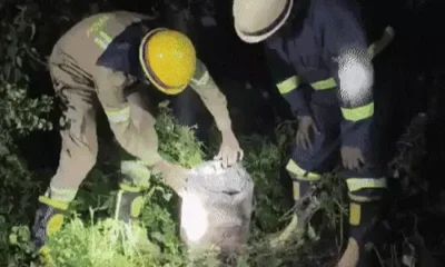 कालिंदी एक्सप्रेस को पलटने की साजिश, IB-ATS पहुंचीं,ट्रैक पर सिलेंडर से टकराई ट्रेन, पेट्रोल-बारूद मिला; 6 संदिग्ध हिरासत में, जमातियों की जांच October 18, 2026
