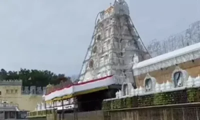 TDP का दावा-तिरुपति लड्डू में एनिमल फैट, फिश ऑयल था:पार्टी ने लैब रिपोर्ट दिखाई; YSR कांग्रेस हाईकोर्ट पहुंची, मंदिर ने जांच कमेटी बनाई October 18, 2026