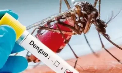 भोपाल में डेंगू का प्रकोप, कोलार की हालत खराब,स्कूल, पैथ लैब, अस्पतालों और आपूर्ति बाजार में भी मिला लार्वा, जुर्माना लगाया October 18, 2026