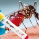 भोपाल में डेंगू का प्रकोप, कोलार की हालत खराब,स्कूल, पैथ लैब, अस्पतालों और आपूर्ति बाजार में भी मिला लार्वा, जुर्माना लगाया 51 भोपाल में डेंगू का प्रकोप, कोलार की हालत खराब,स्कूल, पैथ लैब, अस्पतालों और आपूर्ति बाजार में भी मिला लार्वा, जुर्माना लगाया October 18, 2026