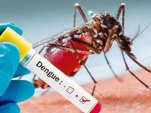 भोपाल में डेंगू का प्रकोप, कोलार की हालत खराब,स्कूल, पैथ लैब, अस्पतालों और आपूर्ति बाजार में भी मिला लार्वा, जुर्माना लगाया October 17, 2026