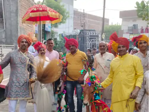 गाय-बैल की शादी; मेहंदी, फेरे, रिसेप्शन भी हुआ,बारात में डीजे पर नाचे बाराती; मांग भरने, मंगलसूत्र पहनाने की रस्म भी हुई October 19, 2026
