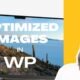 5 Best Image Optimization Plugins for WordPress in 2025 (Tested on Real Images) October 18, 2026